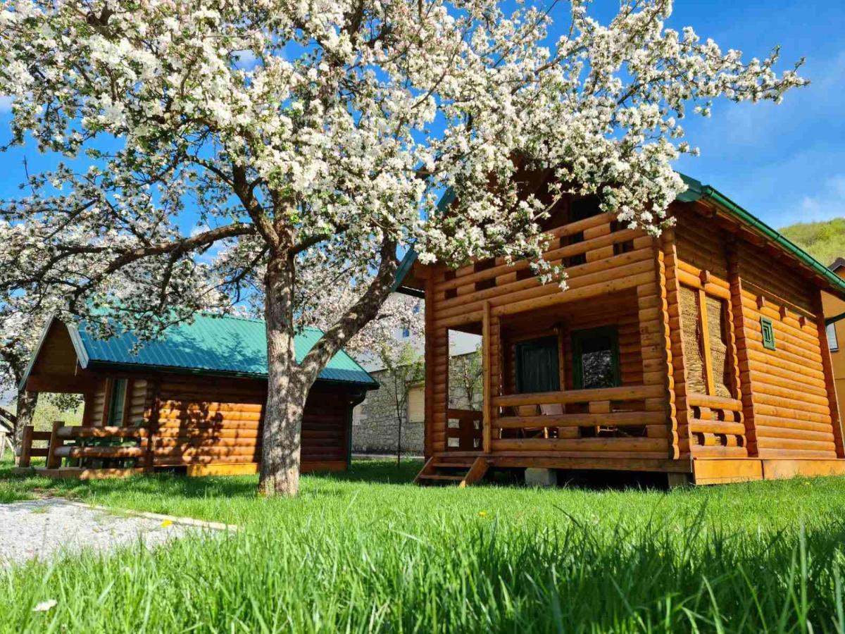Guest House Green Garden Mojkovac Exterior foto