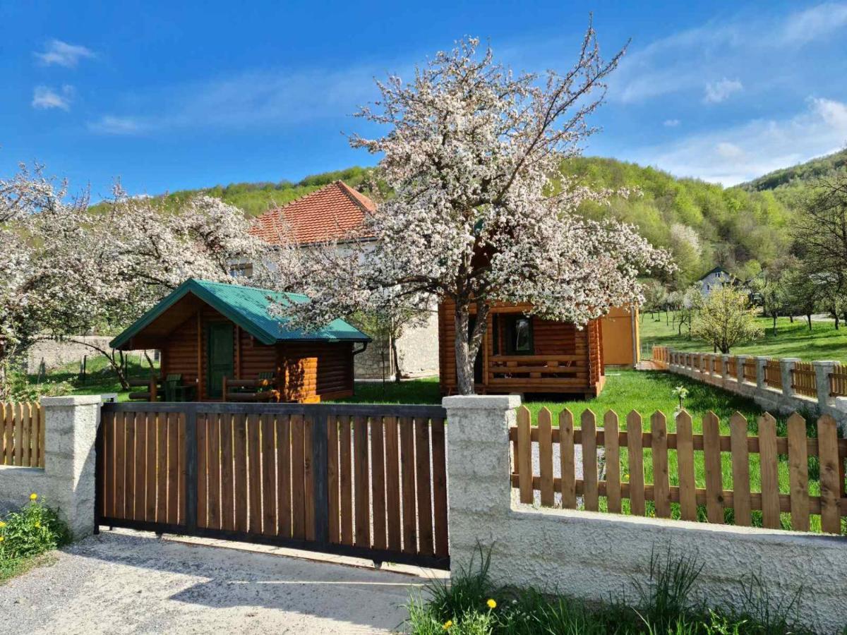 Guest House Green Garden Mojkovac Exterior foto